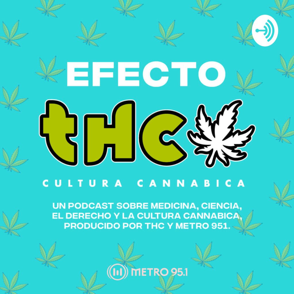 Portada de Efecto THC