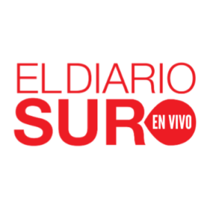 El Diario Sur en Vivo