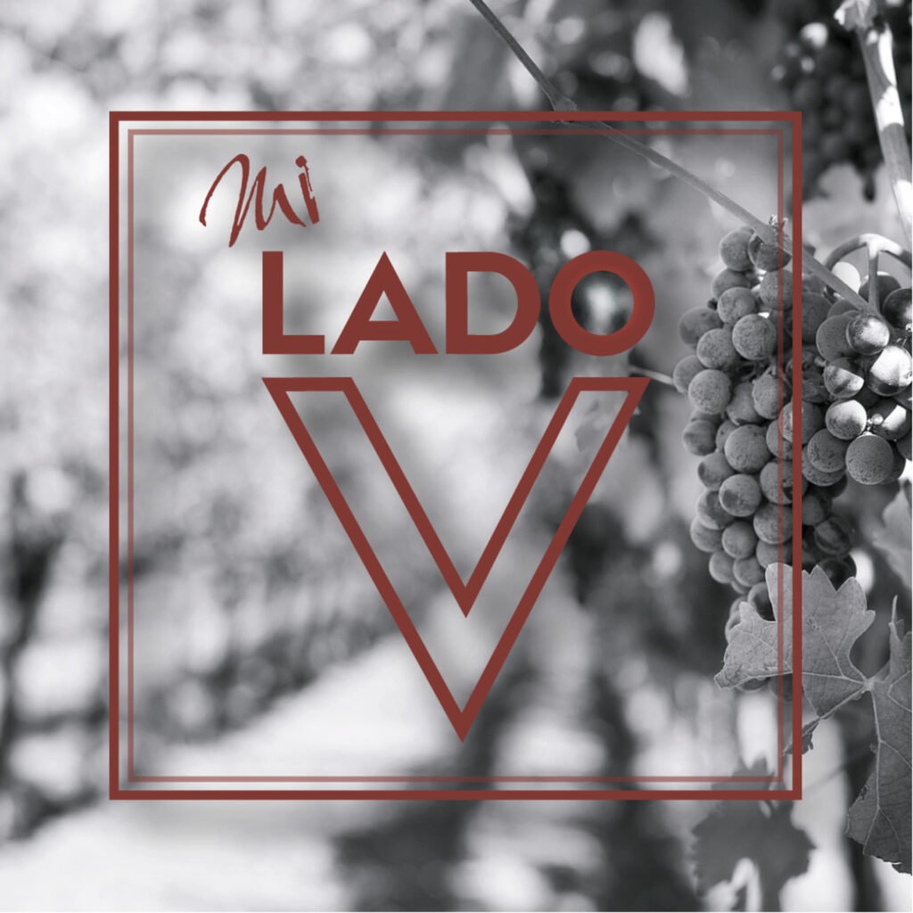 Portada de Mi Lado V